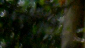 Campamento de venezolanos en Colombia.