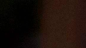 Los policías de minorías son menos propensos al uso de la fuerza.