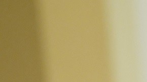 El congresista Adam Kinzinger.