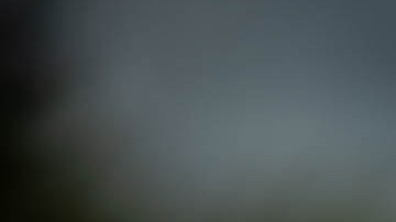 Las autoridades han puestos sus ojos en los Proud Boys.