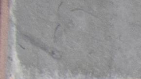 Oficina del Seguro Social en California