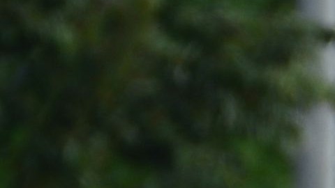 La portavoz de la Casa Blanca, Jen Psaki, recomendó a inmigrantes no viajar a EE.UU.