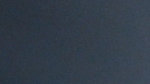 Un abogado de Texas utiliza accidentalmente un filtro de gato durante una sesión de Zoom