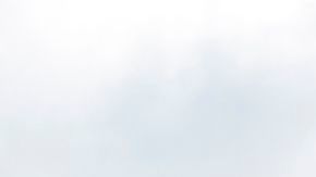 Trump es muy respaldado en ciertas áreas de Florida.