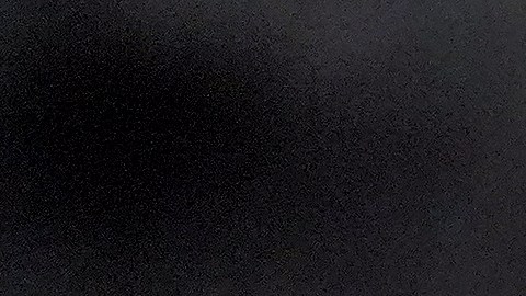 Kamala Harris Senado EEUU