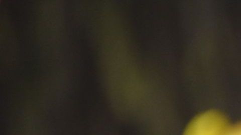 El candidato  Yaku Pérez denunció fraude.