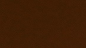 Senadora democrata Elizabeth Warren