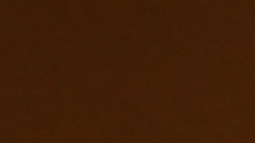 Senadora democrata Elizabeth Warren