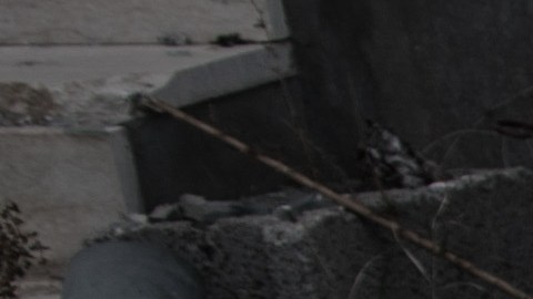Maletas