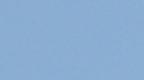 El gobernador de Florida Ron DeSantis.