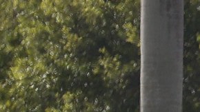 Ataque FBI Sunrise, Florida