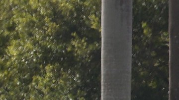 Ataque FBI Sunrise, Florida