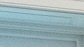 Senadores democratas y Bernie Sanders