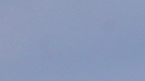 Mansion Mar-a-Lago Donald Trump