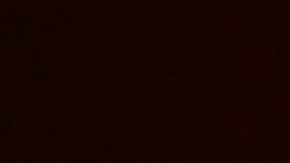 La competencia de la Daytona 500 concluyó con una carambola y un ganador inédito.