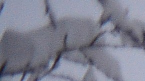 Hay que caminar con cuidado al visitar las montañas con nieve.