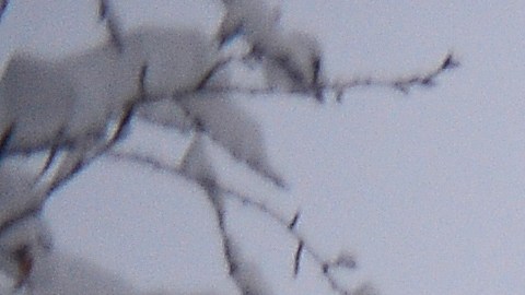 Hay que caminar con cuidado al visitar las montañas con nieve.