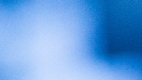 Marmota Chuck Staten Island