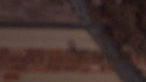 Tormenta de nieve en Texas