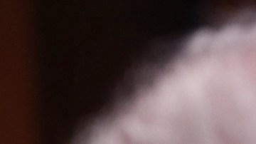 Los demócratas en el Senado dispuestos a avanzar sin apoyo republicano.