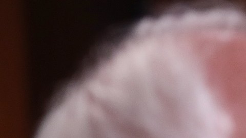 Los demócratas en el Senado dispuestos a avanzar sin apoyo republicano.