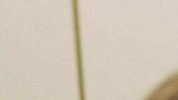 Austria pornografia infantil