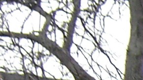 Asesino en serie Anthony Sowell Cleveland