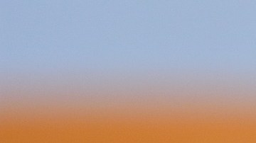 Comer brotes crudos aumenta tu riesgo de intoxicarte.