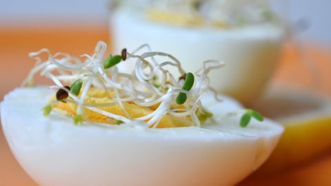 Comer brotes crudos aumenta tu riesgo de intoxicarte.