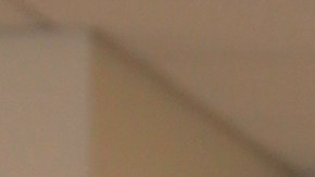 Fallece "Martica la del Café". Formó parte por mucho tiempo de el programa "El Gordo y la Flaca" de Univision