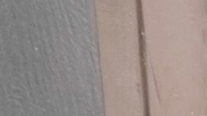 La nevada trae una gran oportunidad de trabajos para los jornaleros quitando la nieve.