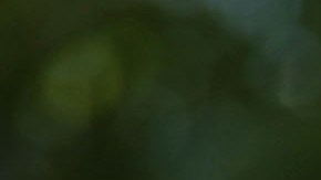 Penélope Cruz y Pedro Almodóvar.