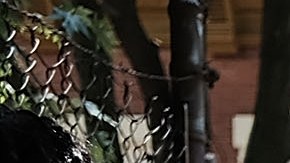 La crisis de vivienda asequible afecta sobre todo a las comunidades de color y los inmigrantes en NYC.