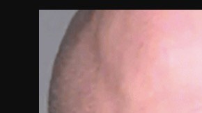 John B. Charpiot y David T. Harmon