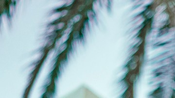 Salma Hayek y Owen Wilson.