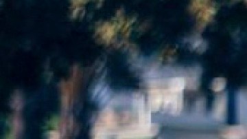 Javier 'Chicharito' Hernández y Sarah Kohan.