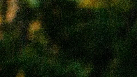 La práctica del tenis aumentó en Estados Unidos en 2020.