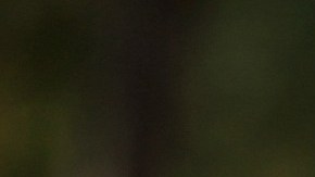 Tiger Woods, Recuperacion