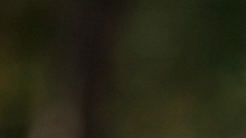 Tiger Woods, Recuperacion