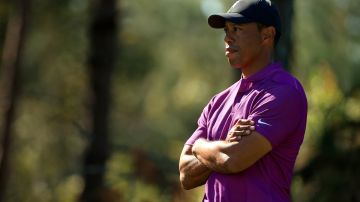 Tiger Woods, Recuperacion