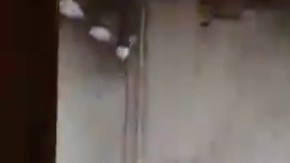 VIDEOS: Terremoto de 7.1 grados golpea Japón; ocurrió en el área de Fukushima