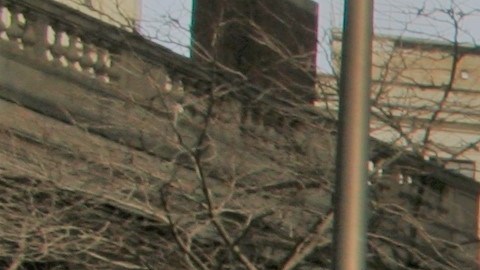 Vivian y Alexa Rivera fundaron Voces para Ancianos tras la muerte de su madre en un asilo en NY.