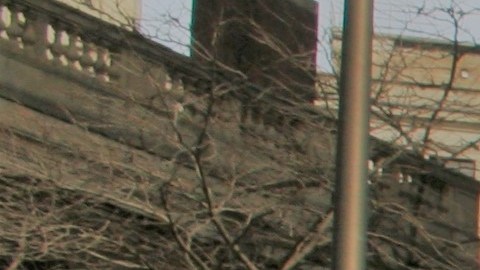 Vivian y Alexa Rivera fundaron Voces para Ancianos tras la muerte de su madre en un asilo en NY.