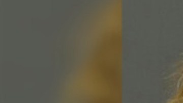 Wanser Brown, detenida