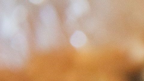 Cientos de millones de alitas de pollo se consumen durante el Super Bowl.
