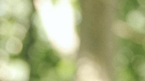 La mujer descubrió todo un pasado delictivo de su prometido.