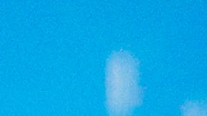 Marmota Phil en Pennsylvania