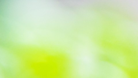 Son considerados alimentos vivos al ser el inicio del desarrollo de una planta.