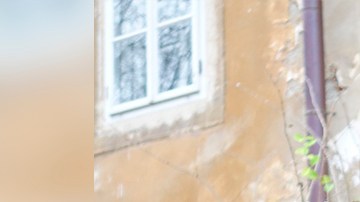 Fireball cubrirá los costos  de enviarle sus cosas a tu expareja.