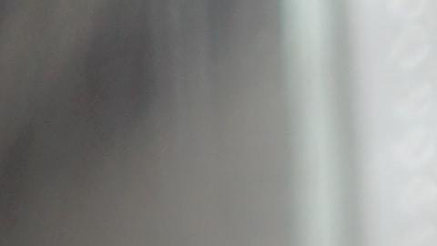 Las plantas aromáticas caben en cualquier espacio pequeño con un poco de aire y luz.